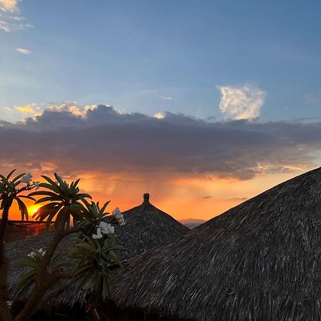 Casa Carmona 33 Hotel Querétaro Kültér fotó